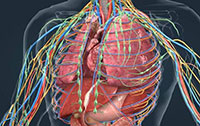 3D动画视频主要有哪些优点，上海三维动画制作能自学吗？